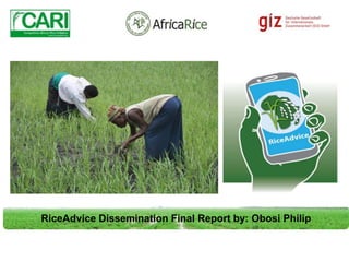 RiceAdvice Dissemination Final Report by: Obosi Philip
 