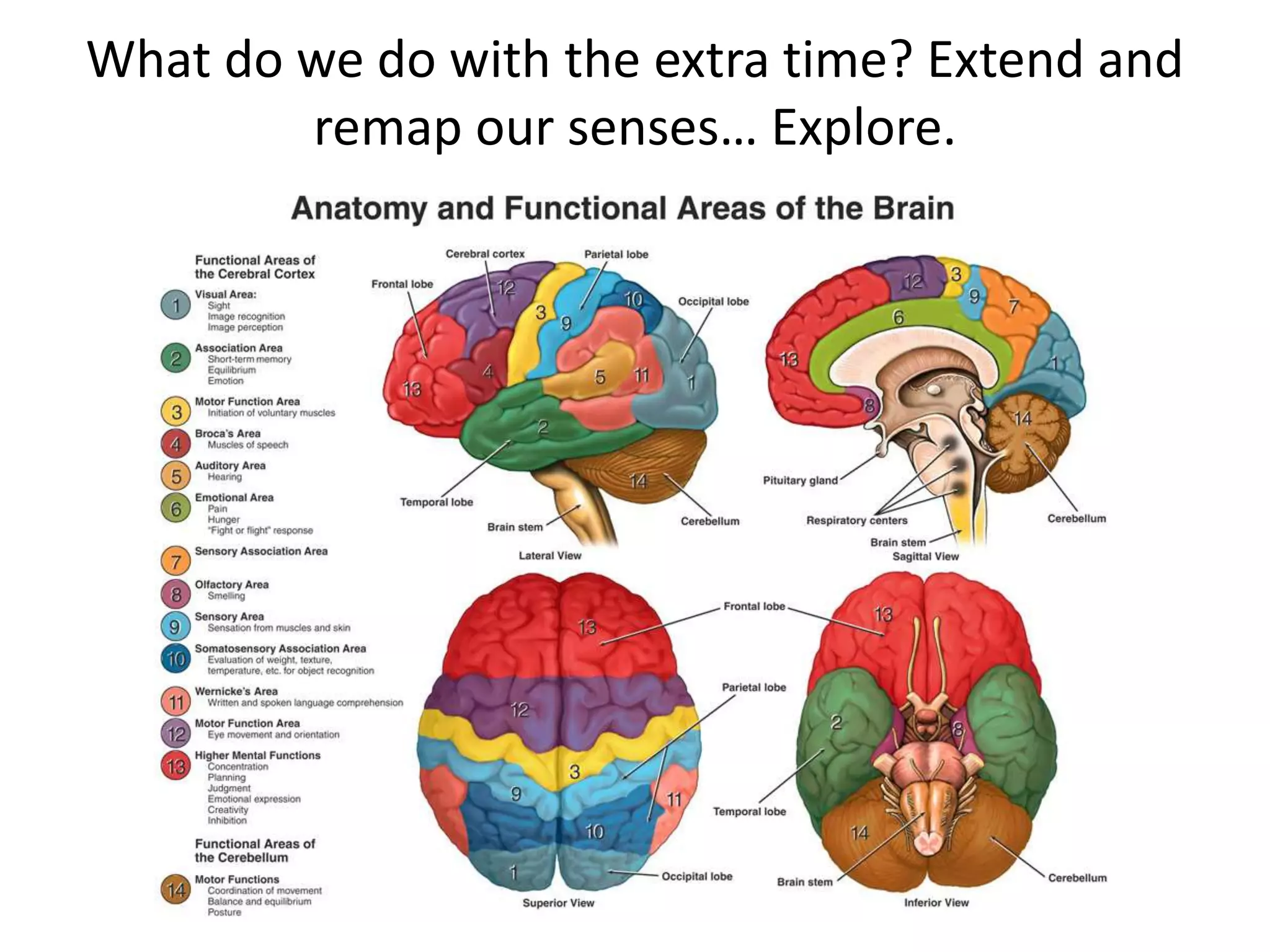 What do we do with the extra time? Extend and 
remap our senses… Explore. 
 
