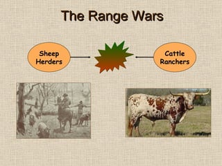 The Range Wars Sheep Herders Cattle Ranchers 