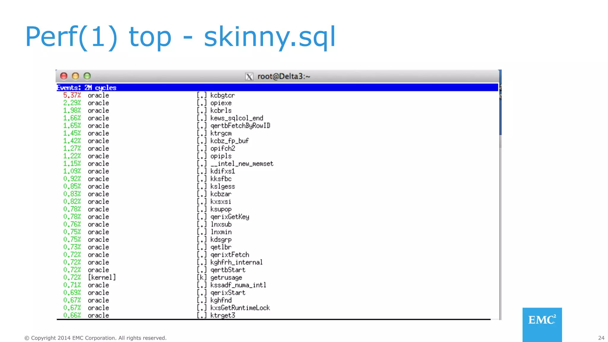 Perf(1) top - skinny.sql 
© Copyright 2014 EMC Corporation. All rights reserved. 24 
 