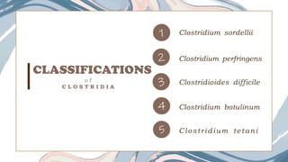 CLASSIFICATIONS
o f
C L O S T R I D I A
1
2
3
4
Clostridium sordellii
Clostridium perfringens
Clostridioides difficile
Clostridium botulinum
5 Clostridium tetani
 