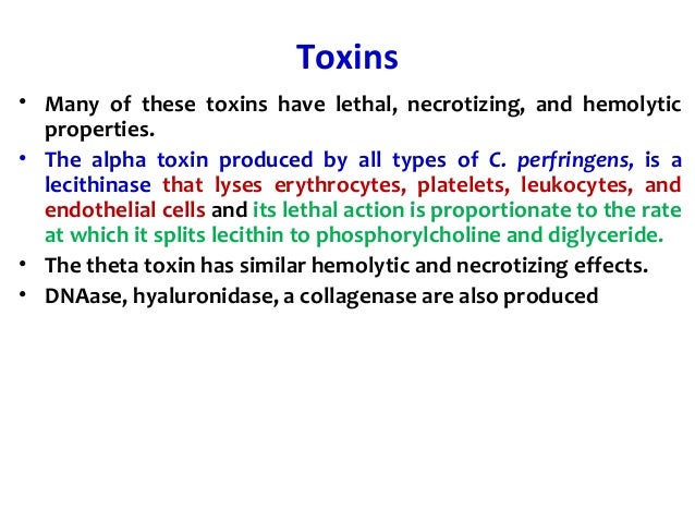 Clostridial Toxins Clostridium Perfringens And Clostridium Difficile