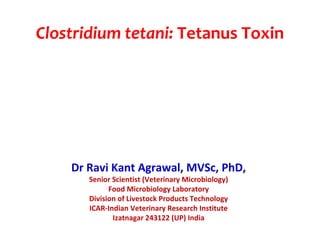 Clostridium tetani: Tetanus Toxin
Dr Ravi Kant Agrawal, MVSc, PhD,
Senior Scientist (Veterinary Microbiology)
Food Microbiology Laboratory
Division of Livestock Products Technology
ICAR-Indian Veterinary Research Institute
Izatnagar 243122 (UP) India
 