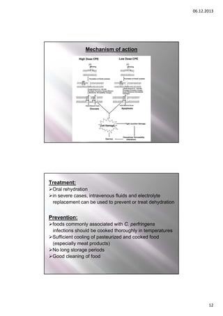 06.12.2013

Mechanism of action

Treatment:
Oral rehydration
in severe cases, intravenous fluids and electrolyte
replacement can be used to prevent or treat dehydration

Prevention:
foods commonly associated with C. perfringens
infections should be cooked thoroughly in temperatures
Sufficient cooling of pasteurized and cooked food
(especially meat products)
No long storage periods
Good cleaning of food

12

 