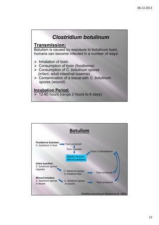 06.12.2013

Clostridium botulinum
Transmission:
Botulism is caused by exposure to botulinum toxin,
humans can become infected in a number of ways:
 Inhalation of toxin
 Consumption of toxin (foodborne)
 Consumption of C. botulinum spores
(infant; adult intestinal toxemia)
 Contamination of a tissue with C. botulinum
spores (wound)

Incubation Period:

 12-80 hours (range 2 hours to 8 days)

Botulism
Foodborne botulism
C. botulinum in food

Toxin produced
Toxin ingested
Toxin in bloodstream
Attacks neurons
(flaccid paralysis)

Infant botulism
C. botulinum spores
ingested

Wound botulism
C. botulinum spores
in wound

C. botulinum grows
in intestinal tract
C. botulinum grows
in wound

Toxin produced

Toxin produced

Modified according to [Salyers et al. 1994]

13

 