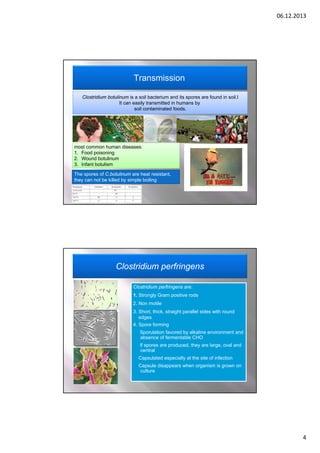 06.12.2013

Transmission
Clostridium botulinum is a soil bacterium and its spores are found in soil.I
It can easily transmitted in humans by
soil contaminated foods.

most common human diseases:
1. Food poisoning
2. Wound botulinum
3. Infant botulism
The spores of C.botulinum are heat resistant,
they can not be killed by simple boiling

Clostridium perfringens
Clostridium perfringens are:
1. Strongly Gram positive rods
2. Non motile
3. Short, thick, straight parallel sides with round
edges
4. Spore forming
Sporulation favored by alkaline environment and
absence of fermentable CHO
If spores are produced, they are large, oval and
central
Capsulated especially at the site of infection
Capsule disappears when organism is grown on
culture

4

 