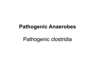 Pathogenic Anaerobes
Pathogenic clostridia
 