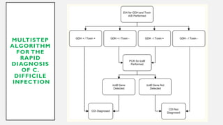 Comprehensive Overview of Clostridioides difficile Infection (CDI ...
