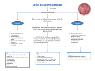Lo produce


                                                              Clostridium difficile



                                               Forma parte de la flora comensal que recibe Tx.
                                                              antimicrobiano
                 Toxina A                                                                                      Toxina B

                                               Lo cual hace que la bacteria produzca la toxina.
                                                (Más frecuente cuando se utiliza Ampicilina o
                                                               Clindamicina)
      •   Acción enterotoxica y es                                                                  •   Es de acción citotóxica
          responsable de:                                                                           •   Produce efecto citopático en la
      •   Hipersecreción.                       A nivel intestinal produce necrosis de la               monocapa celular
      •   Aumento intracelular de                                                                   •   Puede ser inhibida con la
          calcio.                               mucosa intestinal, acumulación de células               antitoxina de Clostridium
      •   Estimulación de la bomba de           inflamatorias , lo cual genera la formación             sordelii por cruce
          cloruros.                             de pseudomembranas.                                     inmunologico
      •   Aumento de la presión
          osmótica.




C.C.                                                 Dx.                                          Tx.
La colitis pseudomembranosa presenta                 Se basa en:                                  Se basa en:
cuadros de:                                          El cuadro clínico                            Suspender antibióticos de elección y
Diarrea de leves a severos, puede ser acuosa         El antecedente antibioticoterapia            administrar vancomicina y metronidazol
o sanguinolenta.                                     Detección de la toxina A Y B en las heces
Cólico abdominal                                     (ELISA) y métodos endoscópicos para
Leucocitosis y fiebre                                visualizar las lesiones.
Hipovolemia
Sepsis
Perforación intestinal
 
