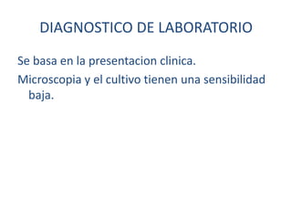 DIAGNOSTICO DE LABORATORIO
Se basa en la presentacion clinica.
Microscopia y el cultivo tienen una sensibilidad
baja.
 