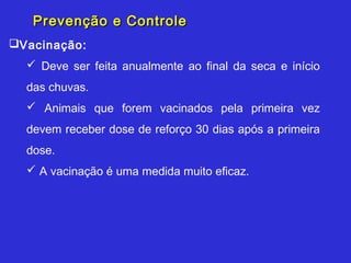 Prevenção e Controle
Vacinação:
   Deve ser feita anualmente ao final da seca e início
  das chuvas.
   Animais que forem vacinados pela primeira vez
  devem receber dose de reforço 30 dias após a primeira
  dose.
   A vacinação é uma medida muito eficaz.
 