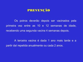 PREVENÇÃO


      Os potros deverão depois ser vacinados pela
primeira vez entre as 10 e 12 semanas de idade,
recebendo uma segunda vacina 4 semanas depois.


      A terceira vacina é dada 1 ano mais tarde e a
partir daí repetida anualmente ou cada 2 anos.
 