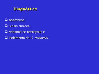 Diagnóstico

 Anamnese;
 Sinais clínicos;
 Achados de necropsia; e
 Isolamento do C. chauvoei.
 