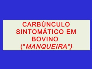 CARBÚNCULO
SINTOMÁTICO EM
     BOVINO
 (“ MANQUEIRA”)
 