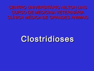 CENTRO UNIVERSITÁRIO NILTON LINS
 CURSO DE MEDICINA VETERINÁRIA
CLÍNICA MÉDICA DE GRANDES ANIMAIS




     Clostridioses
 
