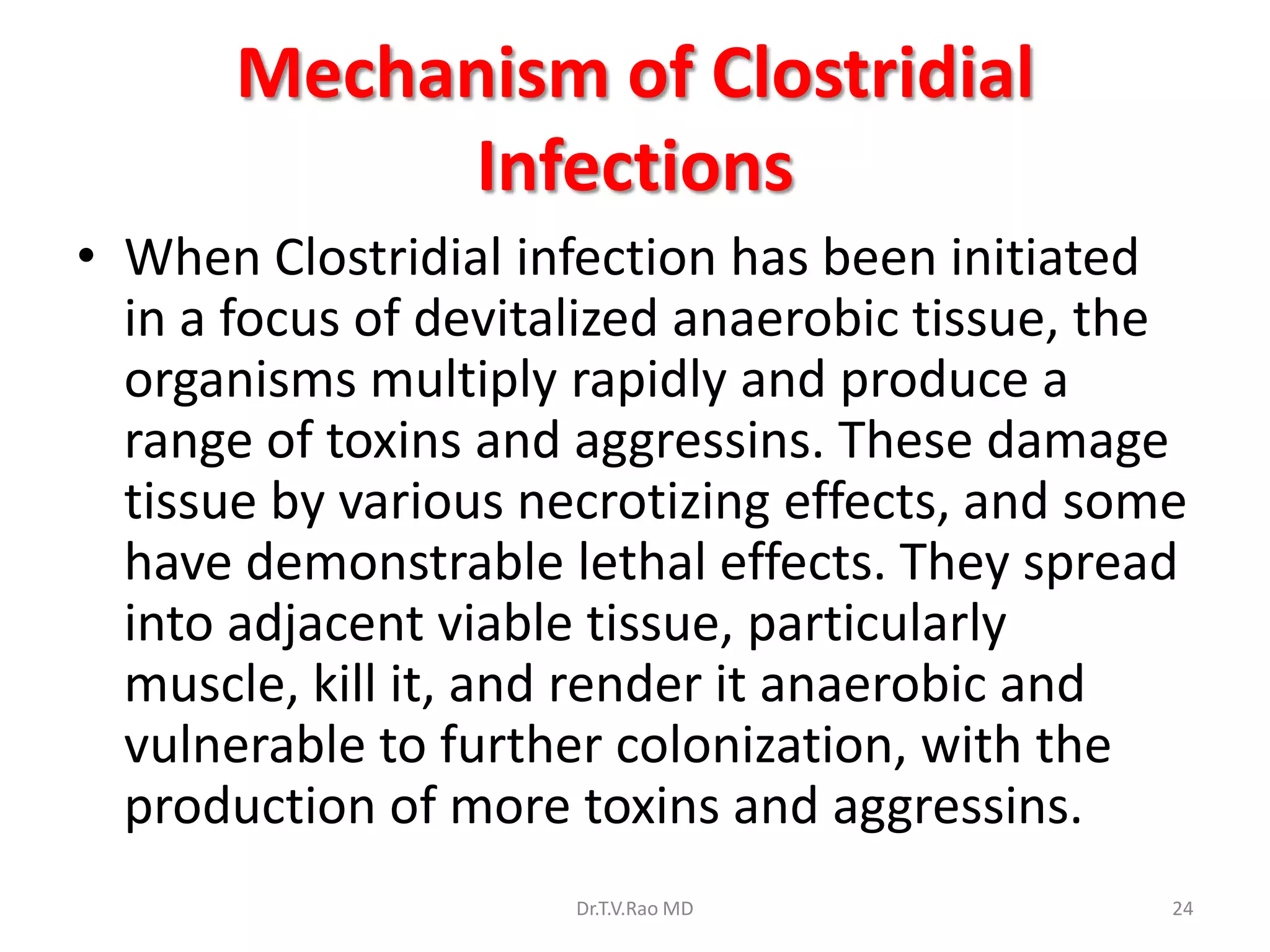 Mechanism of Clostridial
             Infections
• When Clostridial infection has been initiated
  in a focus of devitalized anaerobic tissue, the
  organisms multiply rapidly and produce a
  range of toxins and aggressins. These damage
  tissue by various necrotizing effects, and some
  have demonstrable lethal effects. They spread
  into adjacent viable tissue, particularly
  muscle, kill it, and render it anaerobic and
  vulnerable to further colonization, with the
  production of more toxins and aggressins.
                      Dr.T.V.Rao MD             24
 