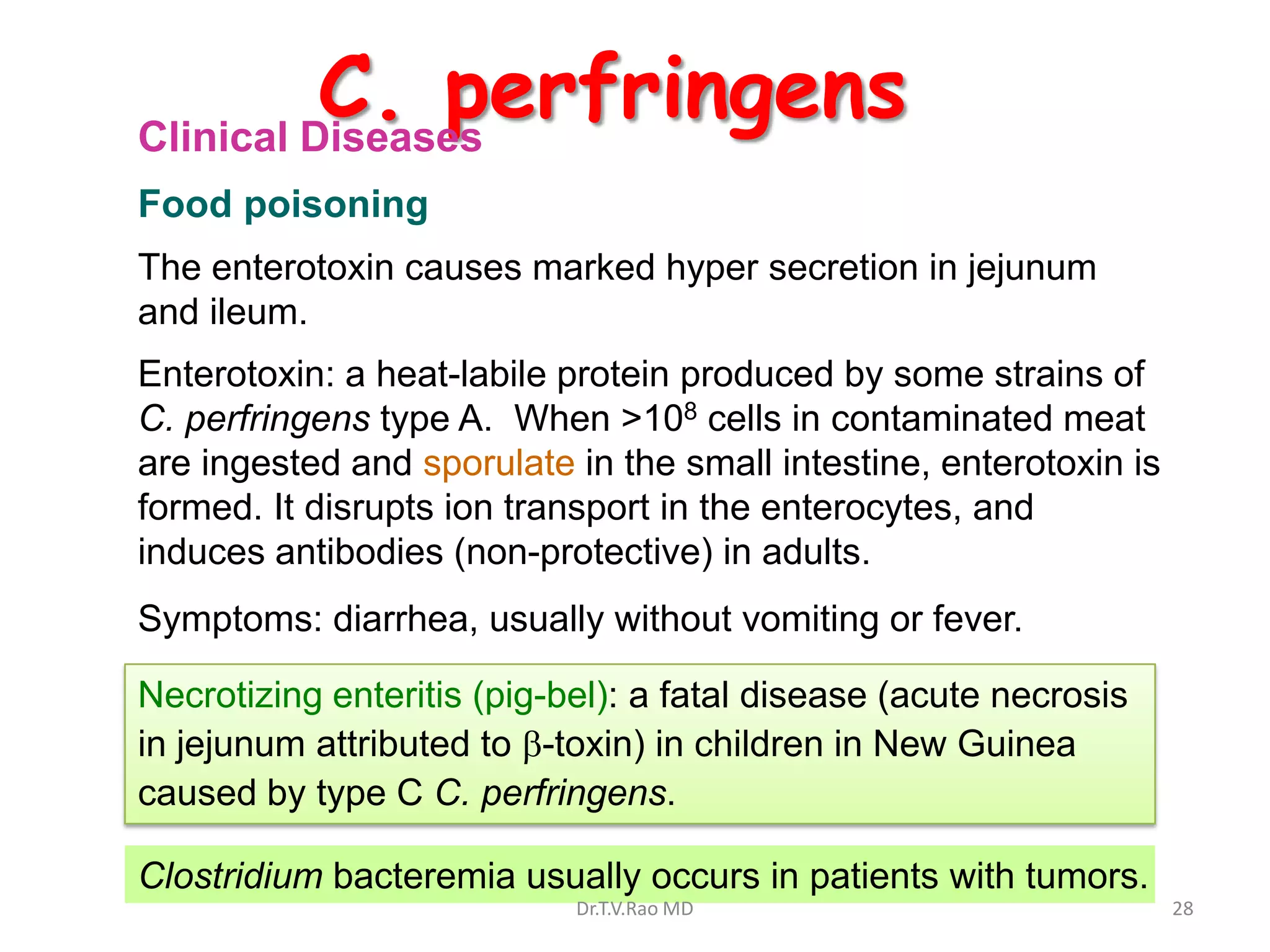 C. perfringens
Clinical Diseases
Food poisoning
The enterotoxin causes marked hyper secretion in jejunum
and ileum.
Enterotoxin: a heat-labile protein produced by some strains of
C. perfringens type A. When >108 cells in contaminated meat
are ingested and sporulate in the small intestine, enterotoxin is
formed. It disrupts ion transport in the enterocytes, and
induces antibodies (non-protective) in adults.
Symptoms: diarrhea, usually without vomiting or fever.

Necrotizing enteritis (pig-bel): a fatal disease (acute necrosis
in jejunum attributed to -toxin) in children in New Guinea
caused by type C C. perfringens.

Clostridium bacteremia usually occurs in patients with tumors.
                            Dr.T.V.Rao MD                           28
 