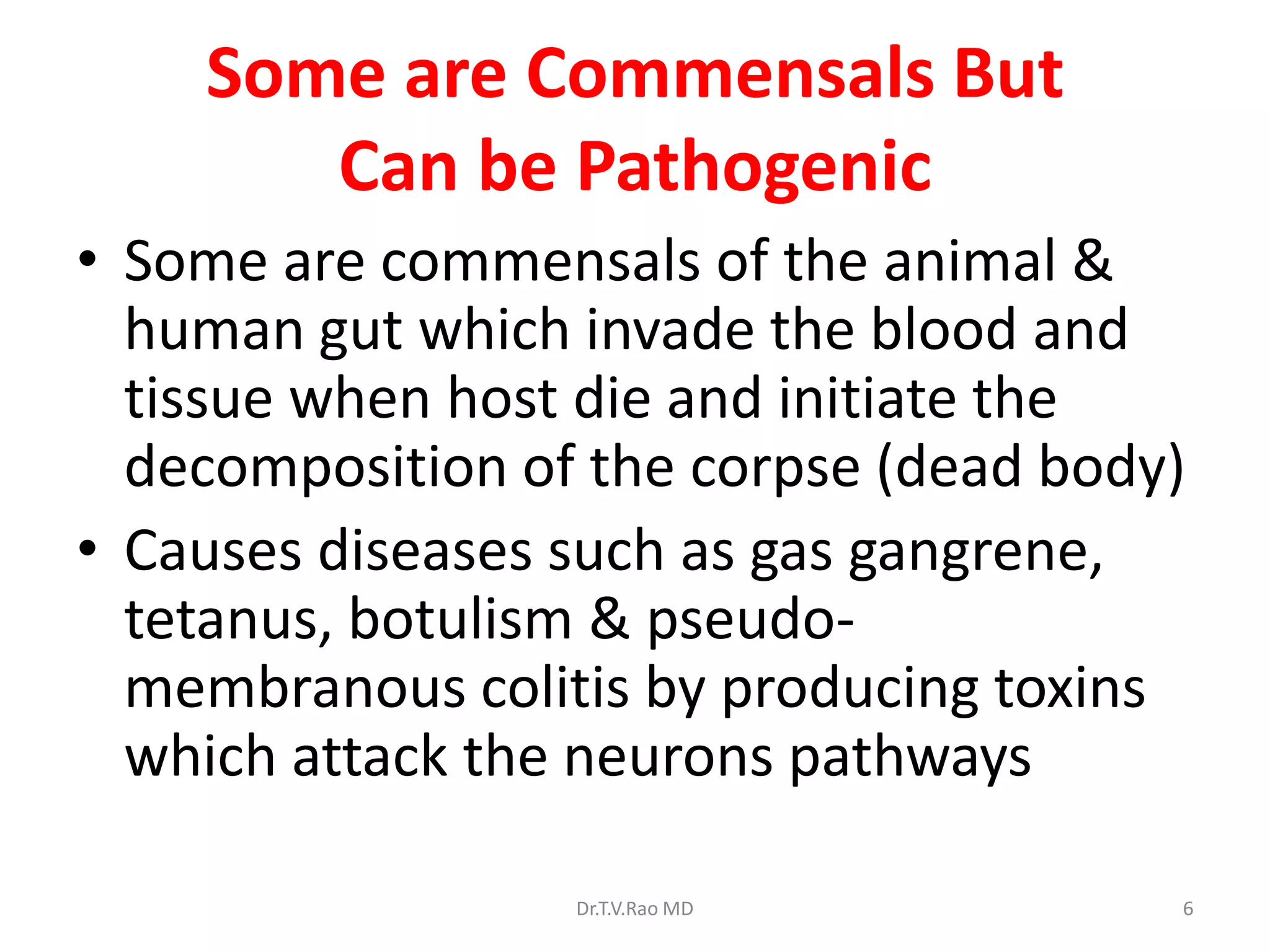 Some are Commensals But
       Can be Pathogenic
• Some are commensals of the animal &
  human gut which invade the blood and
  tissue when host die and initiate the
  decomposition of the corpse (dead body)
• Causes diseases such as gas gangrene,
  tetanus, botulism & pseudo-
  membranous colitis by producing toxins
  which attack the neurons pathways

                  Dr.T.V.Rao MD         6
 