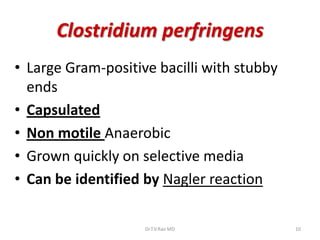 Clostridium perfringens
• Large Gram-positive bacilli with stubby
  ends
• Capsulated
• Non motile Anaerobic
• Grown quickly on selective media
• Can be identified by Nagler reaction

                    Dr.T.V.Rao MD           10
 