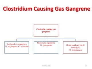 Clostridium Causing Gas Gangrene


                                Clostridia causing gas
                                      gangrene




                                Proteolytic organisms
  Saccharolytic organisms
                                   Cl. sporogenes        Mixed saccharolytic &
Cl. perfringens, Cl. septicum
                                 Digest proteins with         proteolytic
   Ferment carbohydrates
                                blackening bad smell       Cl. histolyticum
 Acid and gas are produced
                                     production




                                      Dr.T.V.Rao MD                              13
 