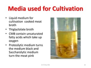 Media used for Cultivation
• Liquid medium for
  cultivation cooked meat
  broth
• Thiglyclolate broth
• CMB contain unsaturated
  fatty acids which take up
  oxygen
• Proteolytic medium turns
  the medium black and
  Saccharolytic medium
  turn the meat pink

                         Dr.T.V.Rao MD   18
 