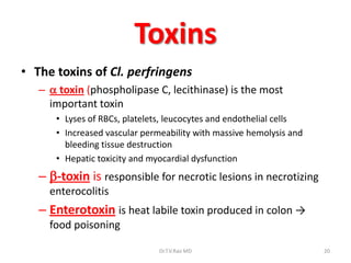 Toxins
• The toxins of Cl. perfringens
   –  toxin (phospholipase C, lecithinase) is the most
     important toxin
      • Lyses of RBCs, platelets, leucocytes and endothelial cells
      • Increased vascular permeability with massive hemolysis and
        bleeding tissue destruction
      • Hepatic toxicity and myocardial dysfunction
   – -toxin is responsible for necrotic lesions in necrotizing
     enterocolitis
   – Enterotoxin is heat labile toxin produced in colon →
     food poisoning

                               Dr.T.V.Rao MD                         20
 