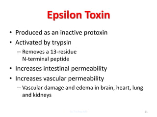 Epsilon Toxin
• Produced as an inactive protoxin
• Activated by trypsin
  – Removes a 13-residue
    N-terminal peptide
• Increases intestinal permeability
• Increases vascular permeability
  – Vascular damage and edema in brain, heart, lung
    and kidneys

                      Dr.T.V.Rao MD                   21
 