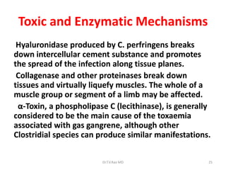 Toxic and Enzymatic Mechanisms
 Hyaluronidase produced by C. perfringens breaks
down intercellular cement substance and promotes
the spread of the infection along tissue planes.
 Collagenase and other proteinases break down
tissues and virtually liquefy muscles. The whole of a
muscle group or segment of a limb may be affected.
 α-Toxin, a phospholipase C (lecithinase), is generally
considered to be the main cause of the toxaemia
associated with gas gangrene, although other
Clostridial species can produce similar manifestations.

                        Dr.T.V.Rao MD                 25
 