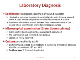 Laboratory Diagnosis
 Specimen: Histological specimen or wound exudates
    Histological specimen transferred aseptically into a sterile screw-capped
     bottle & used immediately for microscopical examination & culture
    Specimens of exudates should be taken from the deeper areas of the
     wound where the infection seems to be most pronounced
 Microscopical examination (Gram, Spore stain etc)
    Gram-positive bacilli, non motile, capsulated & sporulated
    The spore is oval, sub-terminal & non bulging
    Spores are rarely observed
 Culture: Anaerobically at 37C
    On Robertson's cooked meat medium → blackening of meat will observed
     with the production of H2S and NH3
    On blood agar → β-hemolytic colonies


                                    Dr.T.V.Rao MD                                29
 