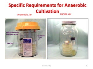 Specific Requirements for Anaerobic
   Anaerobic Jar
                 Cultivation Candle Jar




                Dr.T.V.Rao MD         31
 