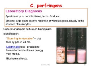 C. perfringens
  Laboratory Diagnosis
  Specimens: pus, necrotic tissue, feces, food, etc.
  Smears: large gram-positive rods with or without spores, usually in the
  absence of leukocytes.
Culture: anaerobic culture on blood plate.
Identification:
  “Storming fermentation”-- clot
  torn by gas in 24 hrs.
  Lecithinase test-- precipitate
  formed around colonies on egg
  yolk media.
  Biochemical tests.

                                   Dr.T.V.Rao MD                        32
 