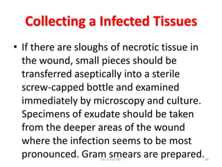 Collecting a Infected Tissues
• If there are sloughs of necrotic tissue in
  the wound, small pieces should be
  transferred aseptically into a sterile
  screw-capped bottle and examined
  immediately by microscopy and culture.
  Specimens of exudate should be taken
  from the deeper areas of the wound
  where the infection seems to be most
  pronounced. Gram smears are prepared.
                    Dr.T.V.Rao MD              36
 