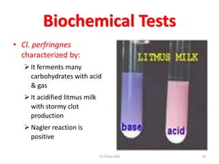 Biochemical Tests
• Cl. perfringnes
  characterized by:
    It ferments many
     carbohydrates with acid
     & gas
    It acidified litmus milk
     with stormy clot
     production
    Nagler reaction is
     positive

                                Dr.T.V.Rao MD   39
 