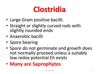 Clostridia
• Large Gram positive bacilli.
• Straight or slightly curved rods with
  slightly rounded ends
• Anaerobic bacilli
• Spore bearing
• Spore do not germinate and growth does
  not normally proceed unless a suitably
  low redox potential Eh exists
• Many are Saprophytes
                  Dr.T.V.Rao MD            4
 