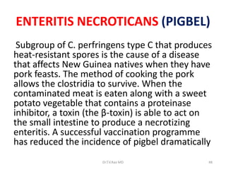 ENTERITIS NECROTICANS (PIGBEL)
 Subgroup of C. perfringens type C that produces
heat-resistant spores is the cause of a disease
that affects New Guinea natives when they have
pork feasts. The method of cooking the pork
allows the clostridia to survive. When the
contaminated meat is eaten along with a sweet
potato vegetable that contains a proteinase
inhibitor, a toxin (the β-toxin) is able to act on
the small intestine to produce a necrotizing
enteritis. A successful vaccination programme
has reduced the incidence of pigbel dramatically
                      Dr.T.V.Rao MD              48
 