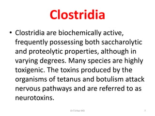 Clostridia
• Clostridia are biochemically active,
  frequently possessing both saccharolytic
  and proteolytic properties, although in
  varying degrees. Many species are highly
  toxigenic. The toxins produced by the
  organisms of tetanus and botulism attack
  nervous pathways and are referred to as
  neurotoxins.
                  Dr.T.V.Rao MD          7
 