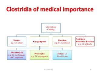 Clostridia of medical importance

                                       Clostridium
                                        Causing



                                                                          Antibiotic
      Tetanus                                             Botulism
                         Gas gangrene                                     associated diarrhea
   e.g. Cl. tetani                                   e.g. Cl. botulinum
                                                                             e.g. Cl. difficille


   Saccharolytic
                           Proteolytic                 Mixed: Cl.
e.g. Cl. perfringens
                       e.g. Cl. sporogenes             histolyticum
   &Cl. septicum




                                     Dr.T.V.Rao MD                                         8
 