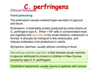 clostridium perfringens in food