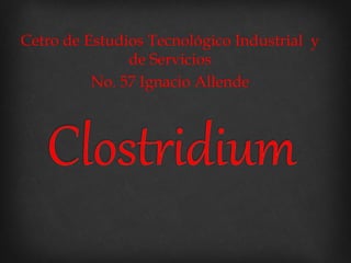 Cetro de Estudios Tecnológico Industrial y 
de Servicios 
No. 57 Ignacio Allende 
 