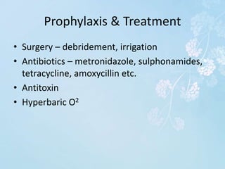 Prophylaxis & Treatment
• Surgery – debridement, irrigation
• Antibiotics – metronidazole, sulphonamides,
tetracycline, amoxycillin etc.
• Antitoxin
• Hyperbaric O2
 