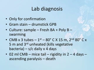 Lab diagnosis
• Only for confirmation
• Gram stain – drumstick GPB
• Culture: sample – Fresh BA + Poly B –
swarming
• CMB x 3 tubes – 1st – 80° C X 15 m, 2nd 80° C x
5 m and 3rd unheated (kills vegetative
bacteria) – s/c daily x 4 days
• 02 ml CMB – mice tail – rigidity in 2 – 4 days –
ascending paralysis – death
 