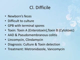 Cl. Difficile
• Newborn’s feces
• Difficult to culture
• GPB with terminal spores
• Toxin: Toxin A (Enterotoxin),Toxin B (Cytotoxic)
• AAD & Pseudomembranous colitis
• Lincomycin, Clindamycin
• Diagnosis: Culture & Toxin detection
• Treatment: Metronidazole, Vancomycin
 