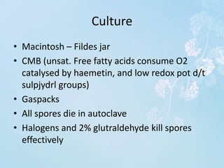 Culture
• Macintosh – Fildes jar
• CMB (unsat. Free fatty acids consume O2
catalysed by haemetin, and low redox pot d/t
sulpjydrl groups)
• Gaspacks
• All spores die in autoclave
• Halogens and 2% glutraldehyde kill spores
effectively
 