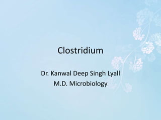 Clostridium
Dr. Kanwal Deep Singh Lyall
M.D. Microbiology
 