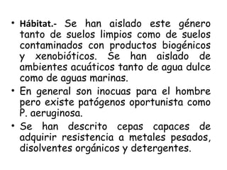 • Hábitat.- Se han aislado este género
tanto de suelos limpios como de suelos
contaminados con productos biogénicos
y xenobióticos. Se han aislado de
ambientes acuáticos tanto de agua dulce
como de aguas marinas.
• En general son inocuas para el hombre
pero existe patógenos oportunista como
P. aeruginosa.
• Se han descrito cepas capaces de
adquirir resistencia a metales pesados,
disolventes orgánicos y detergentes.
 