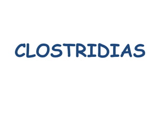 CLOSTRIDIAS
 