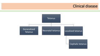 Tetanus
Generalized
Tetanus
Neonatal tetanus Localized tetanus
Cephalic tetanus
Clinical disease
 