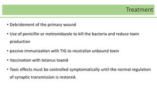 Treatment
• Debridement of the primary wound
• Use of penicillin or metronidazole to kill the bacteria and reduce toxin
production
• passive immunization with TIG to neutralize unbound toxin
• Vaccination with tetanus toxoid
• Toxic effects must be controlled symptomatically until the normal regulation
of synaptic transmission is restored.
 