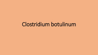 Clostridium botulinum
 