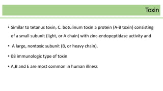 Toxin
• Similar to tetanus toxin, C. botulinum toxin a protein (A-B toxin) consisting
of a small subunit (light, or A chain) with zinc-endopeptidase activity and
• A large, nontoxic subunit (B, or heavy chain).
• 08 immunologic type of toxin
• A,B and E are most common in human illness
 